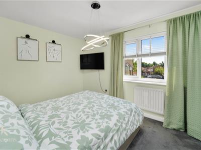 Picture 21